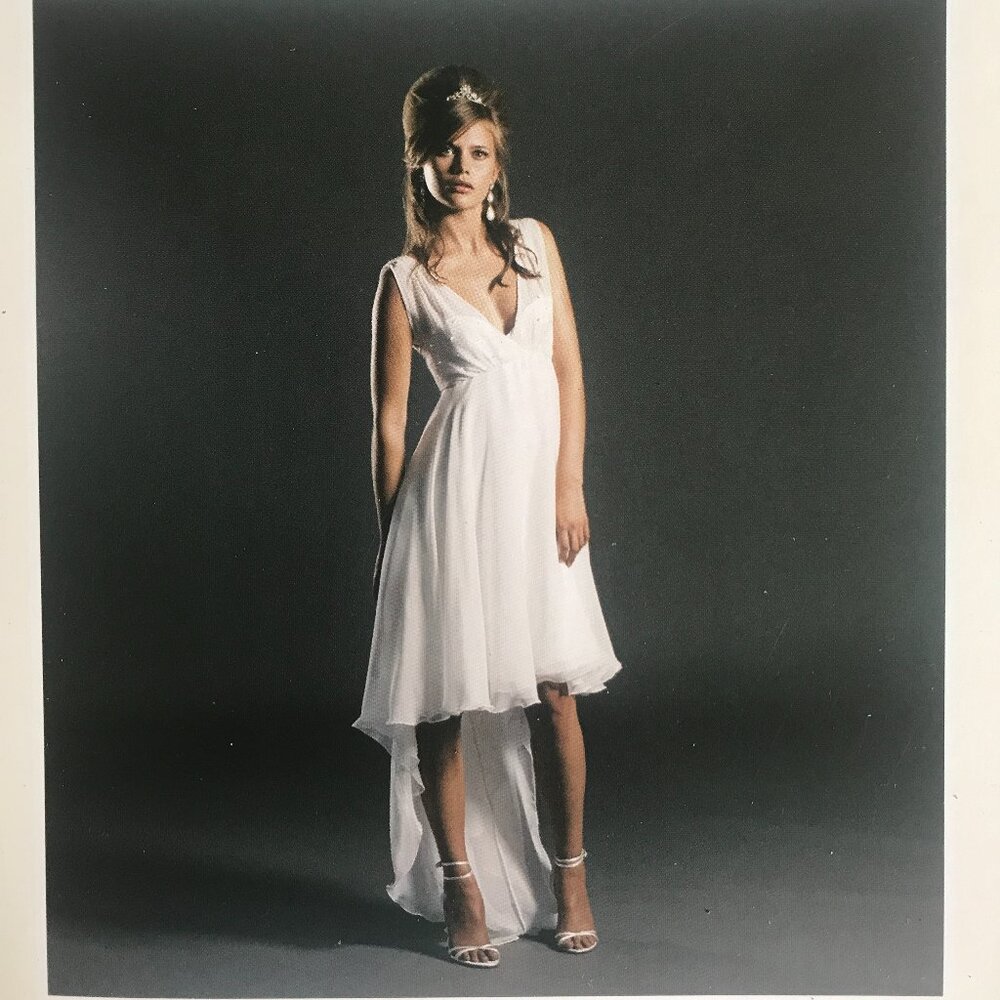 NEW  Sample Circa Vintage Bridal Gown Wedding Silk Chiffon Beaded Bodice Size 4